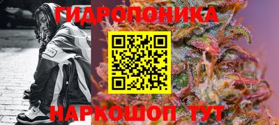 PSILOCYBIN Рыбинск