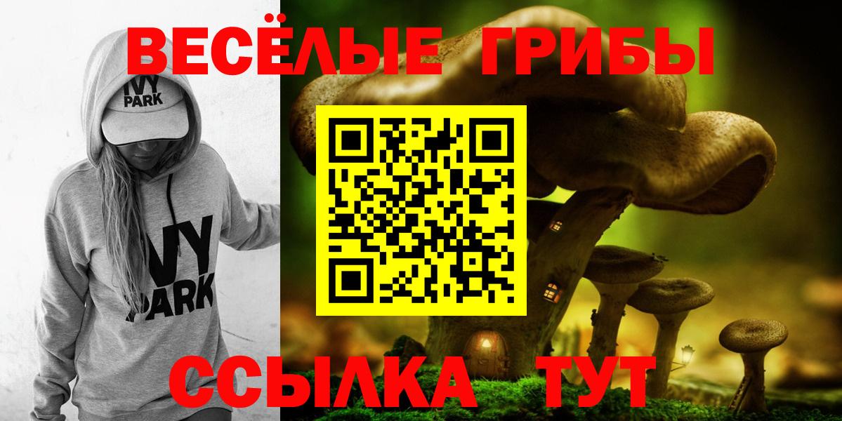 Галлюциногенные грибы ЛСД Рубцовск